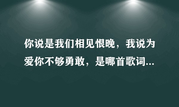 你说是我们相见恨晚，我说为爱你不够勇敢，是哪首歌词？谁唱的
