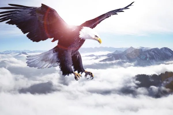 “不畏浮云遮望眼”出自哪位诗人?苏轼辛弃疾王安石杜牧