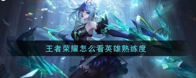 王者荣耀怎么看英雄熟练度