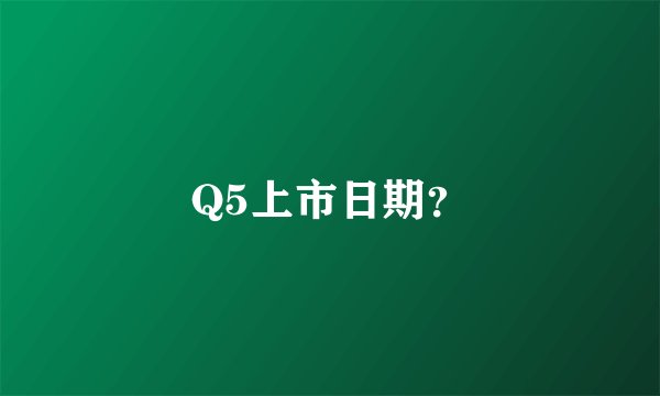 Q5上市日期？