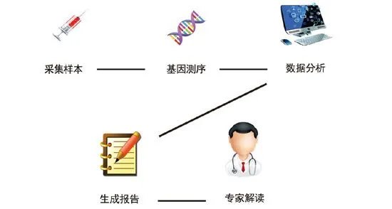 精准医学到底是什么？
