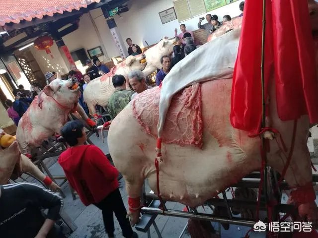 漳州古山重好玩吗？