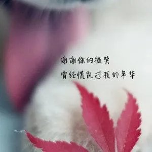 邓超为孙俪庆生惹人艳羡,究竟如何在千万人之中找到“对”的人?