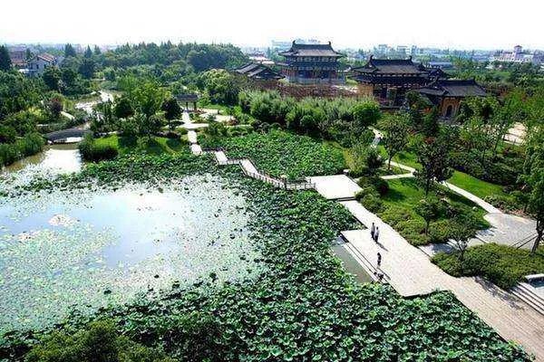 鉴真和尚东渡日本有何深意？