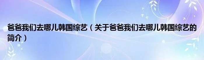 爸爸我们去哪儿韩国综艺（关于爸爸我们去哪儿韩国综艺的简介）