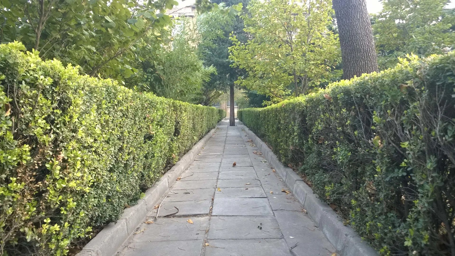 昔日巨头遗作 诺基亚WP8.1版Lumia 830评测