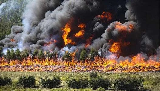 黑龙江一列车被大火逼停！外面的火势有多大？