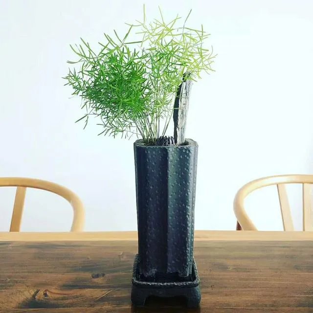 最新消息，5月6日零时起恢复全国收费公路收费，你怎么看？