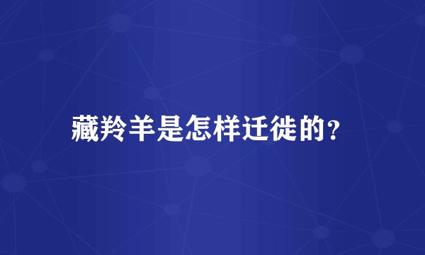 藏羚羊是怎样迁徙的？