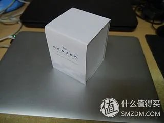 北欧风情 SKAGEN 诗格恩 女式腕表 355SSS1