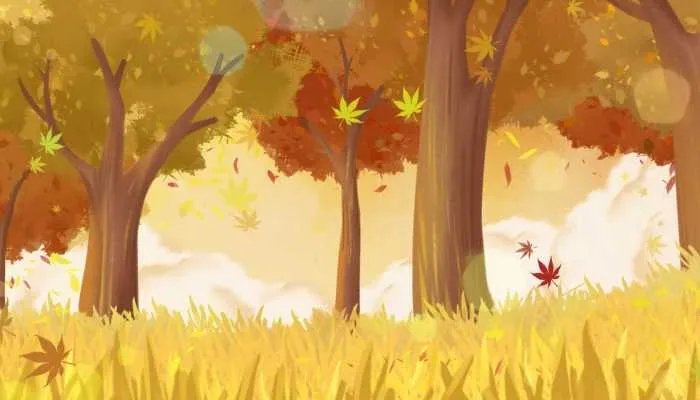 关于立秋的优美句子 立秋的唯美语句