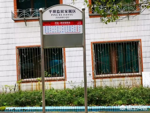 贵州平坝万亩樱花绽放，美爆了这个春天，有去过的吗？有旅游攻略路线吗？