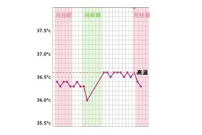 基础体温测排卵曲线图