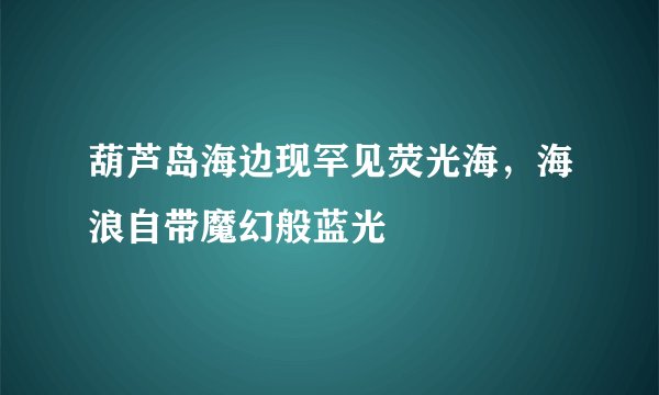 葫芦岛海边现罕见荧光海，海浪自带魔幻般蓝光
