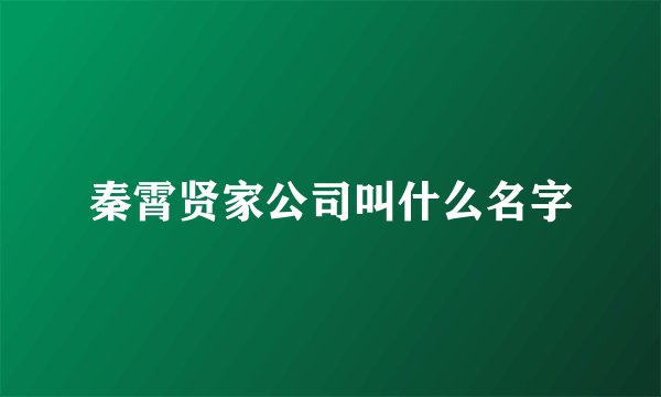 秦霄贤家公司叫什么名字