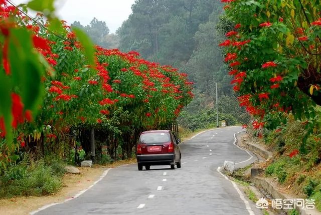去不丹旅游需要多少钱？