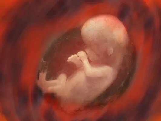 试管婴儿移植前注意事项