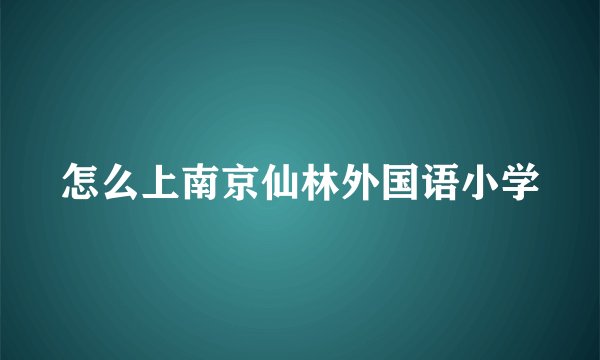 怎么上南京仙林外国语小学