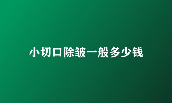 小切口除皱一般多少钱