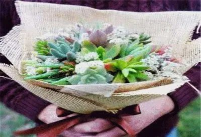 若人论坛的论坛特色