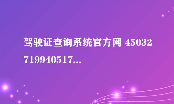 驾驶证查询系统官方网 450327199405172435档案编号：440100316588