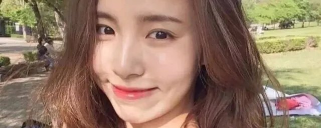 不需要糖和玫瑰歌词 不一定需要糖和玫瑰是什么歌