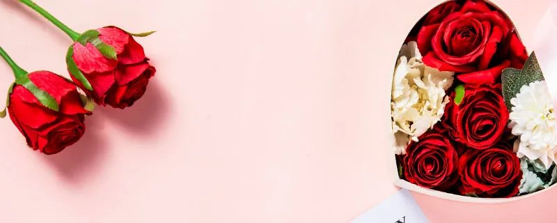 送玫瑰花朵数的含义 送玫瑰的含义