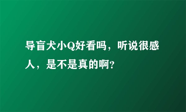 导盲犬小Q好看吗，听说很感人，是不是真的啊？