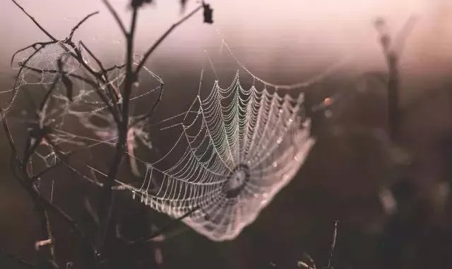 大学生李文星赴天津求职蹊跷死亡，应怎样避免这种情况发生？