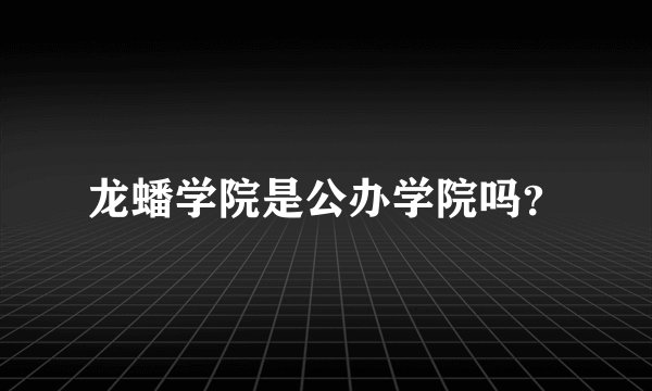 龙蟠学院是公办学院吗？