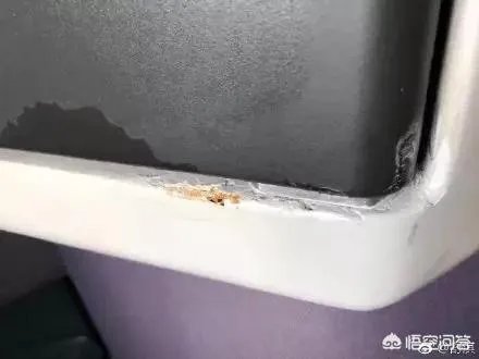 舒淇发文怒斥乘机旅客碰撞电视损坏公物，乘客应该为其不文明行为负责么？