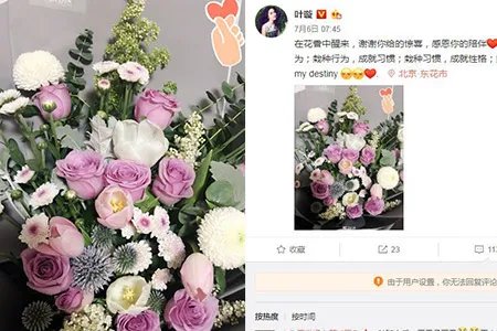 叶璇晒钻戒被粉丝围观 清晨发文称在花香中醒来