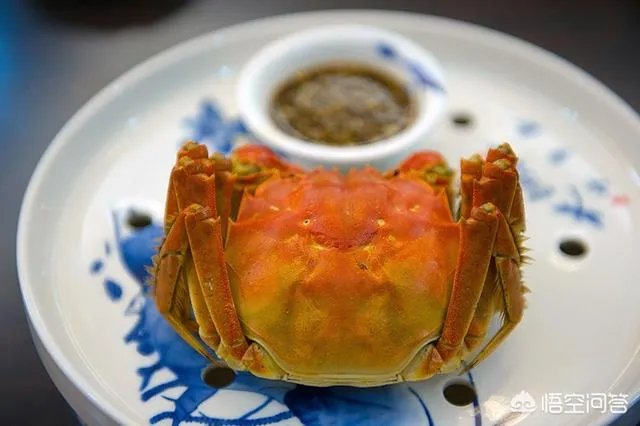 什么湖的大闸蟹最出名