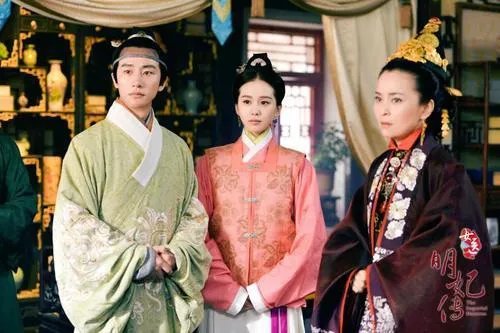 政协批女医明妃传误导大众  家庭主妇怎能和皇帝谈恋爱