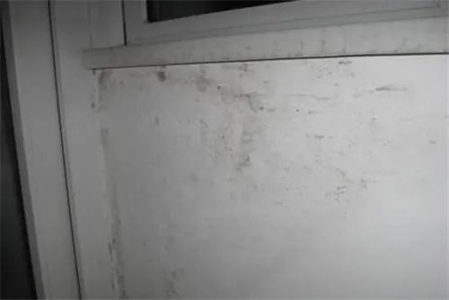 墙面发霉怎么办