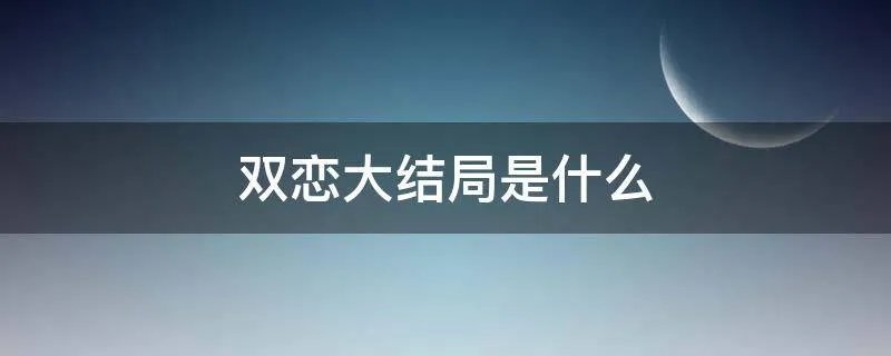 双恋大结局是什么