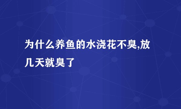 为什么养鱼的水浇花不臭,放几天就臭了