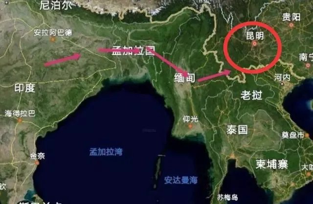 云南千亩竹林遭竹蝗啃食，这种竹蝗可以吃吗？