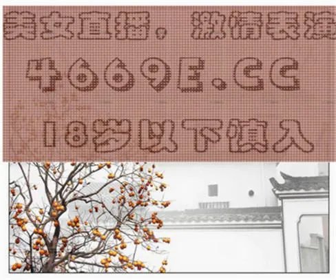 怎样看全景网交易日的在线直播的视频