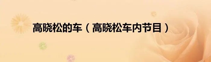 高晓松的车（高晓松车内节目）