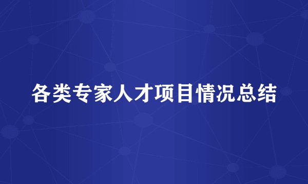 各类专家人才项目情况总结
