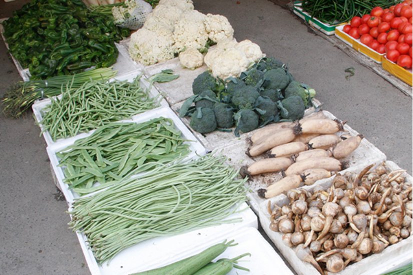 碱性食物有哪些