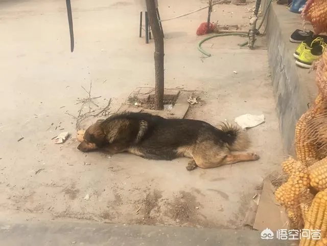 广州中小学教育继续教育不搞会怎样