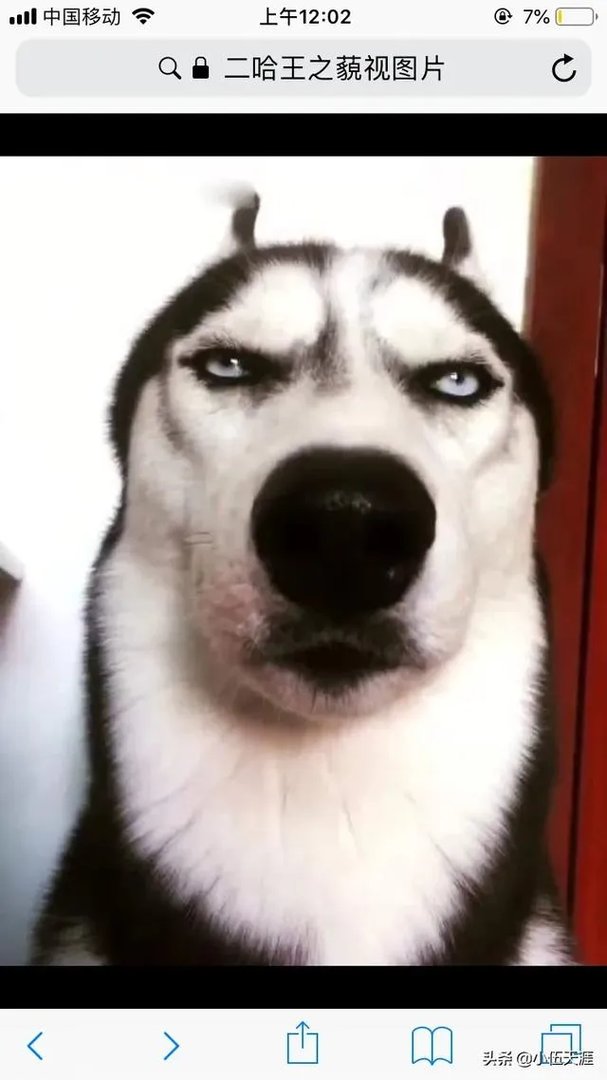 分手门过后为什么广西罗志祥会被那么多女生骂渣男?