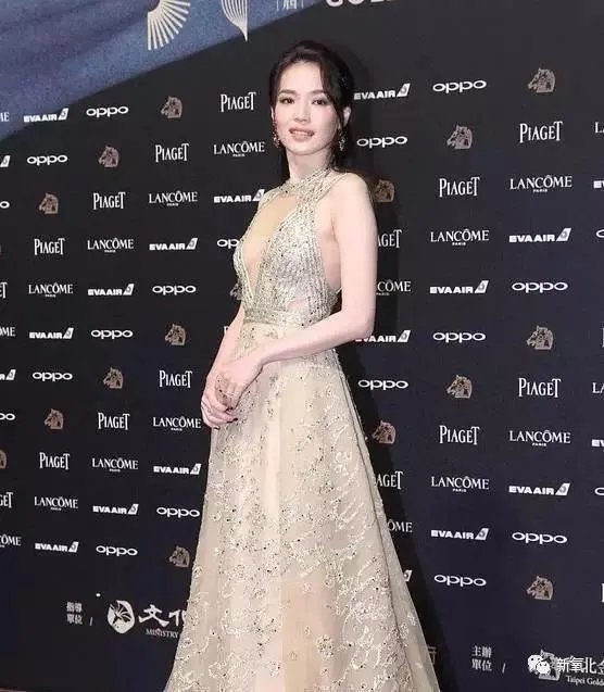 2017金马奖颁奖典礼上，谁的礼服更耀眼？