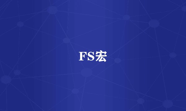FS宏