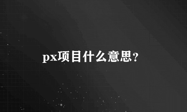 px项目什么意思？