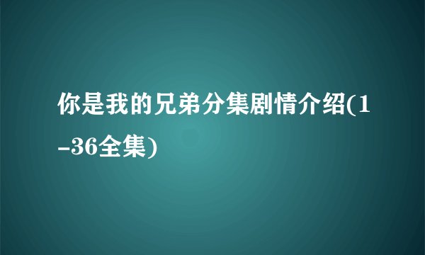 你是我的兄弟分集剧情介绍(1-36全集)