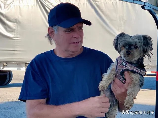 房车旅行可以带猫吗？为什么？