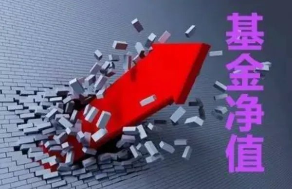 嘉实海外基金70012今日净值？